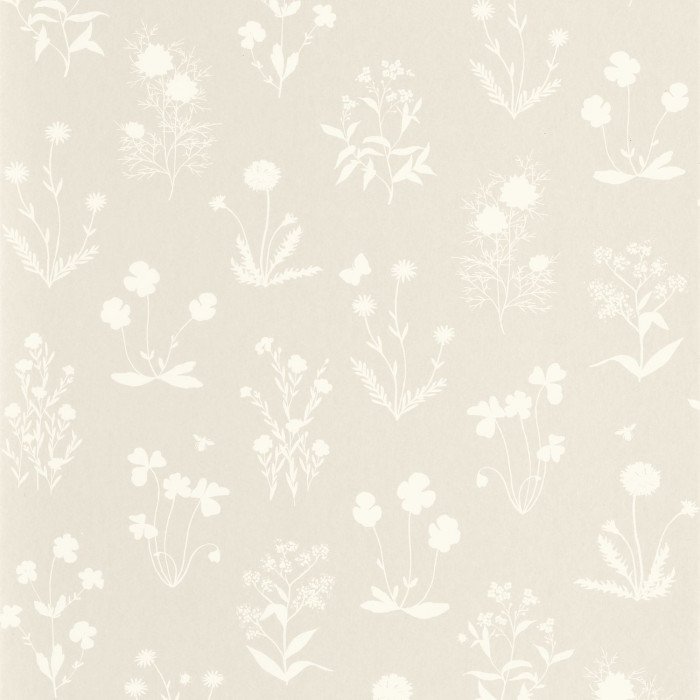 Herbier Beige lin