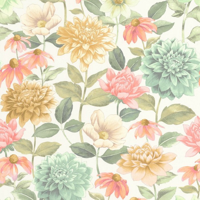 Dahlia Bouquet fond blanc