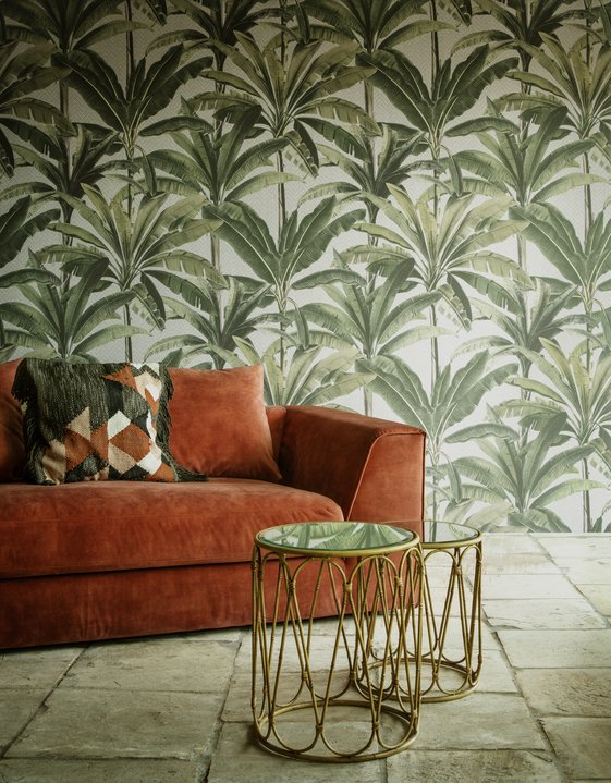 Palmera Palmera