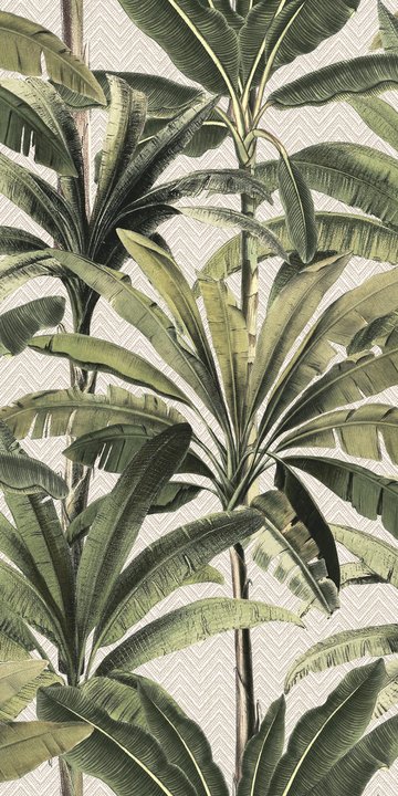 Palmera 11140 Palmera 11140