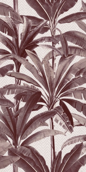 Palmera 11141 Palmera 11141