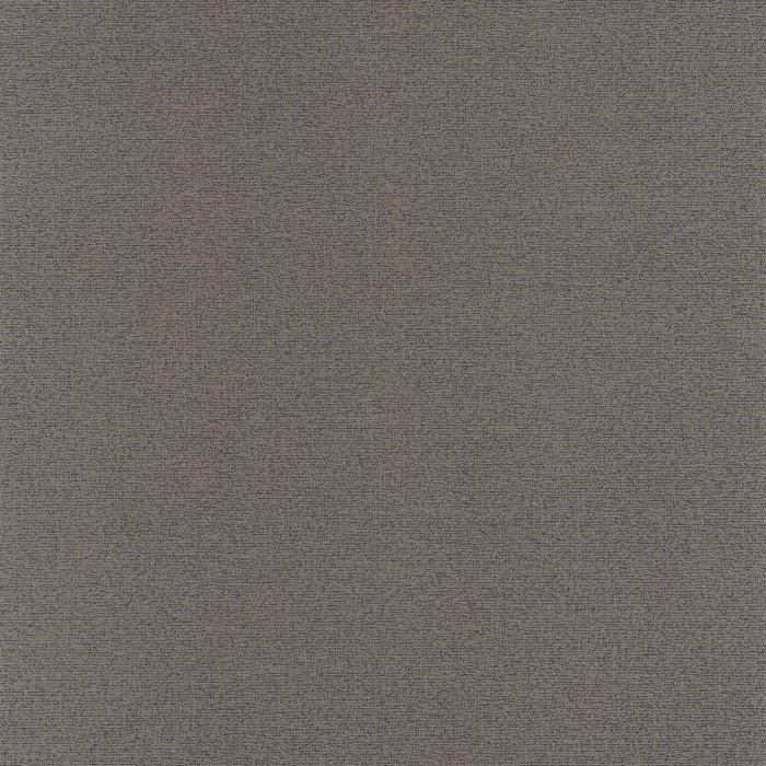 Bouclette Noir fusain