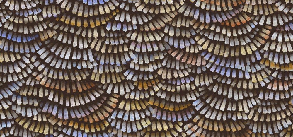 Dandelion Cranes Prisma