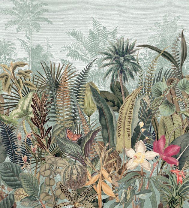 Daintree C&eacute;ladon/kaki