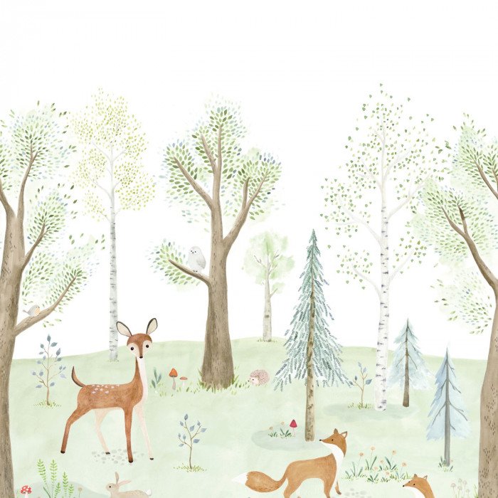 The enchanted forest with doe S