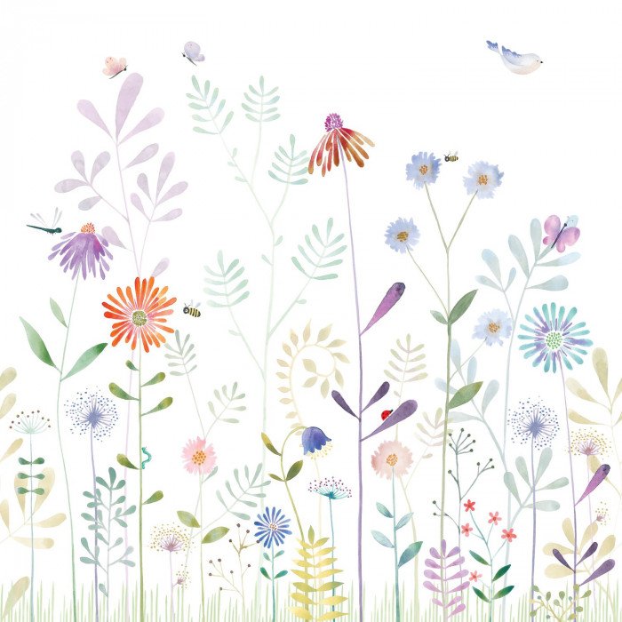 The garden small world with snail S