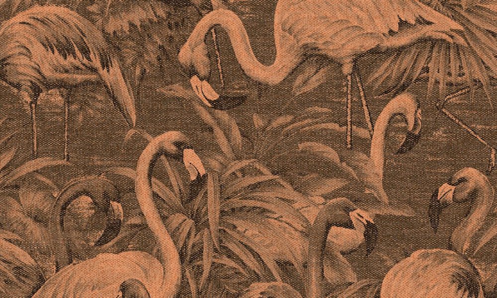 Flamencos Andinos Butterfly Weeds