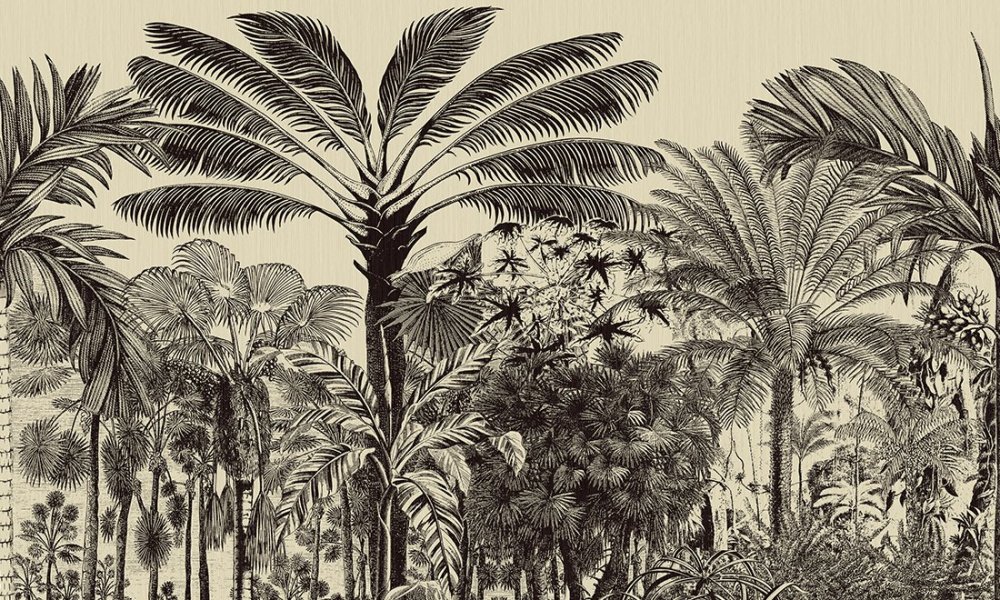 Valle de Vi&ntilde;ales Black Magic