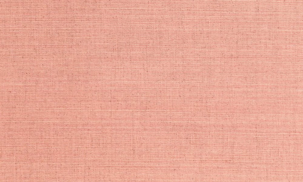 Line Pink