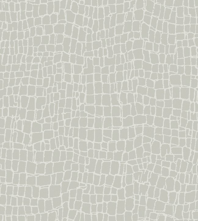 Croc 22041 Light Grey Croc 22041 Light Grey