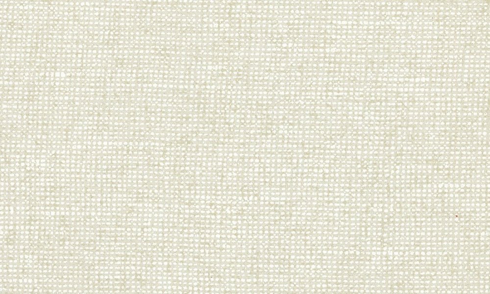 Arte Chanderi Eggshell Arte Chanderi Eggshell