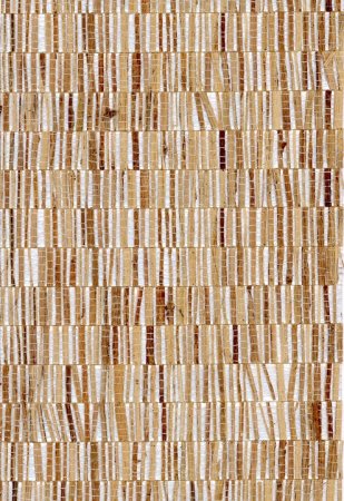 Fringe 40321