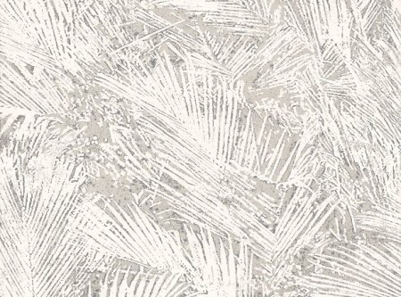 Areca Mirin Areca Mirin