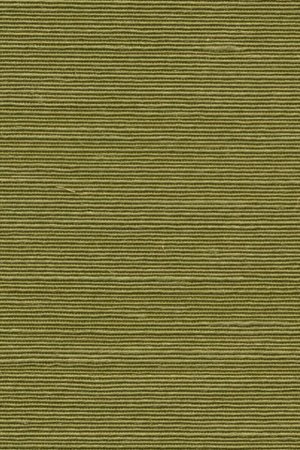 Agave Olive