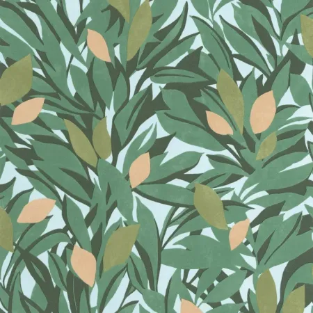 Cassis Vert mousse orange Cassis Vert mousse orange