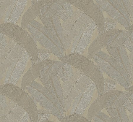 Banyan Elm RIC206 Banyan Elm RIC206