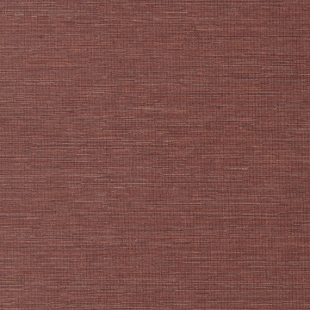 Cadie Amber HPCSIS0008