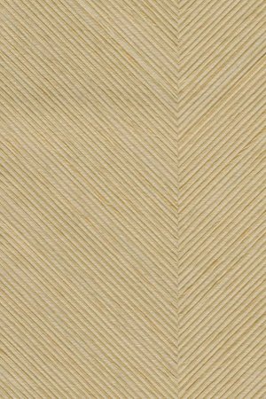 Kinisi Sunlight Gold