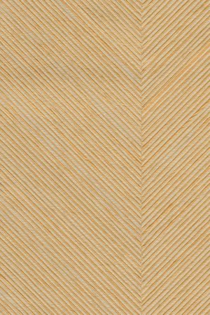 Kinisi Copper