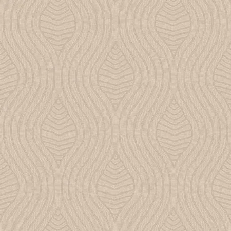 Brodelia Marron Glace Brodelia Marron Glace