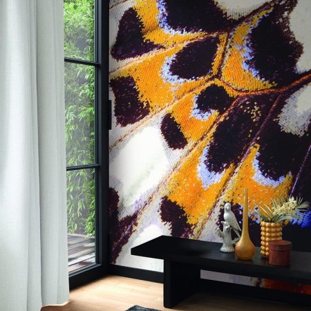 Mariposa_s Orange Mariposa_s Orange