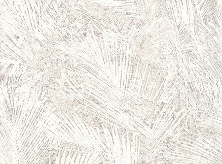 Areca Katje Areca Katje