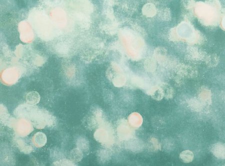 Bokeh Tropen Bokeh Tropen