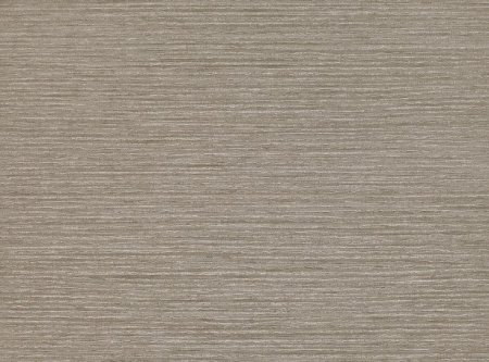 Chandbali Cappuccino Chandbali Cappuccino