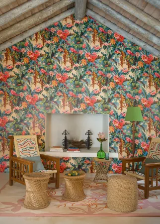 Amour des Tropiques Amour des Tropiques