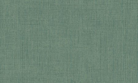 Arte  Tulle Pine