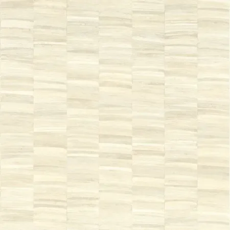 Stylosa Ivoire