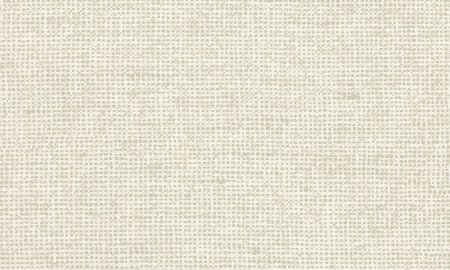 Arte  Chanderi Pillow