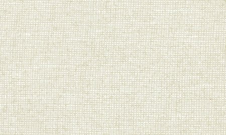 Arte  Chanderi Eggshell