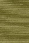 Agave Olive