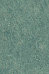 Canyon Teal Canyon Teal