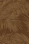 Maui Walnut Maui Walnut