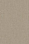 Puna Graphite Puna Graphite