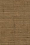 Ghicha Silk Cinnamon