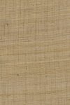 Ghicha Silk Saffron