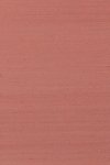 Papillon Rose Pink Papillon Rose Pink