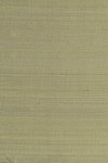 Papillon Olive Green Papillon Olive Green