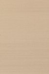Papillon Beige Papillon Beige
