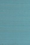 Papillon Turquoise Papillon Turquoise
