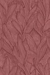 Piante Indian Red Piante Indian Red