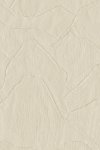 Shards Clay Shards Clay