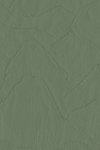 Shards Fern Shards Fern