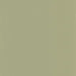 Pigments Argile verte