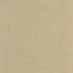 Etamine Beige ficelle