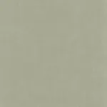 Etamine Vert tilleul