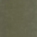 Etamine Vert ta&iuml;ga